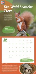 WAS IST WAS Tierwelt Broschurkalender 2026