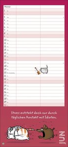Catzz Planer für zwei 2024. Lustiger Wandplaner für zwei. Partnerkalender mit 2 Spalten. Terminkalender mit witzigen Cartoon-Katzen. Wandkalender für 2 Personen.