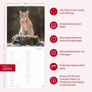 Katzen slim - Auf sanften Pfoten 2026