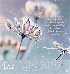 Ich wünsch dir ... Zeit zum Träumen Postkartenkalender 2022