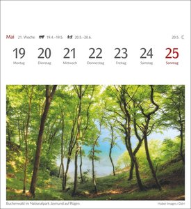 Oasen der Stille Postkartenkalender 2025 - Wochenkalender mit 53 Postkarten