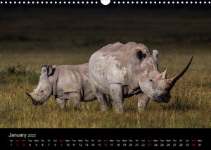 Kenyan Wildlife (Wall Calendar 2022 DIN A3 Landscape)