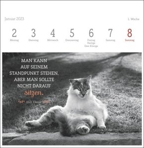 Wegler Katzen Weisheiten Premium-Postkartenkalender 2023. 53 Postkarten mit zauberhaften Katzenfotos und Zitaten in einem kleinen Kalender für Katzenfans.