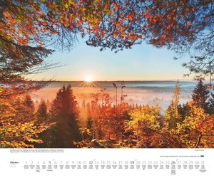 Licht in der Landschaft 2025 – Wandkalender 60,0 x 50,0 cm – Spiralbindung