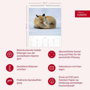 Tiere der Alpen Kalender 2026