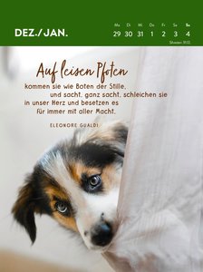Wochenkalender 2025: Hunde sind die besten Freunde