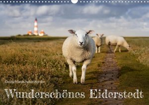 Wunderschönes Eiderstedt (Wandkalender 2023 DIN A3 quer)