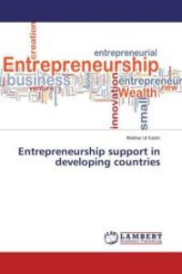 Entrepreneurship support in developing countries