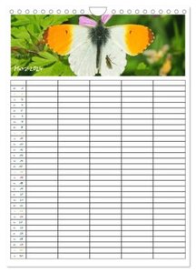 Schmetterlinge: Filigrane Flieger / Familienkalender (Wandkalender 2024 DIN A4 hoch), CALVENDO Monatskalender