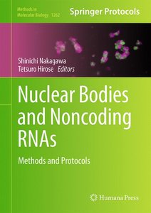 Nuclear Bodies and Noncoding RNAs