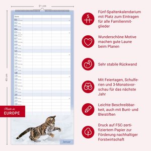 times&more Katzen Familienplaner 2026