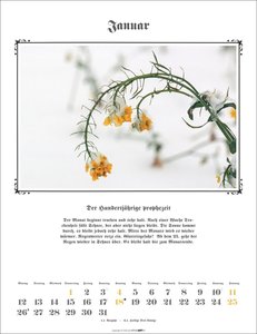 Der Hundertjährige Kalender 2026