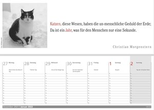 Der literarische Katzen Wochenplaner 2022