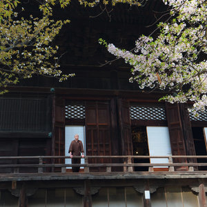 Inside Japan 2022