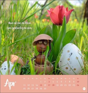 Eichelmännchen Postkartenkalender 2022