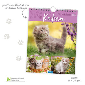 Trötsch Wochenkalender zum Hängen Katzen 2025