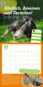 WAS IST WAS Tierwelt Broschurkalender 2026
