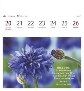Momente des Glücks Postkarten-Kalender 2024. Positive Stimmung und Zufriedenheit im Postkartenformat. Wochenkalender mit Zitaten und schönen Fotos zum Sammeln und Verschicken