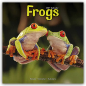 Frogs - Frösche 2024 - 16-Monatskalender