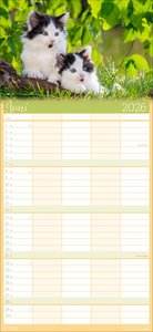 Cool Cats Familienplaner 2026