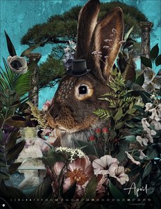 André Sanchez: Tierporträts Posterkalender 2026