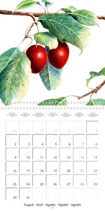 FRUITS SELECTED PAINTINGS BY YANNY PETTERS (Wall Calendar 2021 300 × 300 mm Square)