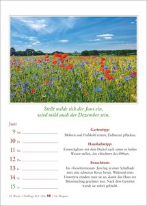 Bauernweisheiten Wochenkalender 2025 - Bauernregeln, Brauchtum, Gartentipps, Haushaltstipps