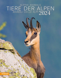 Tiere der Alpen - Kalender 2024