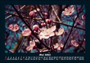 Blumenkalender 2022 Fotokalender DIN A5