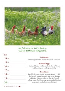 Bauernweisheiten Wochenkalender 2025 - Bauernregeln, Brauchtum, Gartentipps, Haushaltstipps
