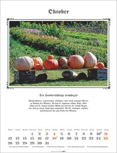 Der Hundertjährige Kalender 2026