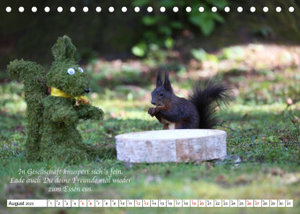 Tipps von Eichhörnchen an Eichhörnchenliebhaber (Tischkalender 2023 DIN A5 quer)