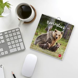 Bärenstark Postkartenkalender 2026