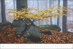 Der deutsche Wald - Ein literarischer Spaziergang Kalender 2024. Inspirierende Fotos deutscher Wälder mit Zitaten bekannter Klassiker. Großer Wandkalender 2024.