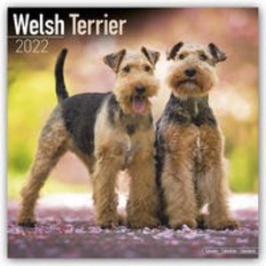 Welsh Terrier 2022 - 16-Monatskalender
