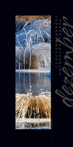 Nature in Focus - Passepartout-Kalender 2024