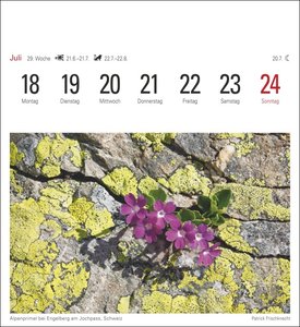 Alpen Kalender 2022