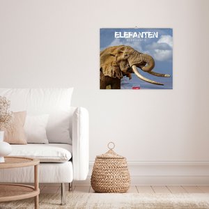 Elefanten Kalender 2026