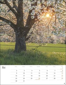 Jenseits der Hast Kalender 2022