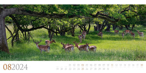 Wilde Wälder Kalender 2024