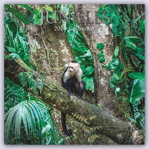 Jungles - Dschungel 2024 - 16-Monatskalender