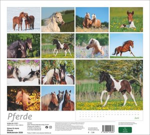 times&more Pferde Bildkalender 2026
