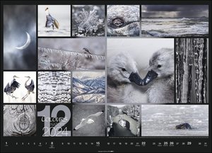 Colours of Nature Kalender 2024. Großer Foto-Wandkalender im Querformat 68 x 49cm. Natur-Kalender 2024 mit harmonischen Bild- und Farbkompositionen für jeden Monat.