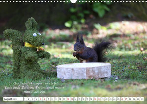Tipps von Eichhörnchen an Eichhörnchenliebhaber (Wandkalender 2023 DIN A3 quer)