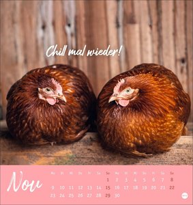 Hühner Postkartenkalender 2026