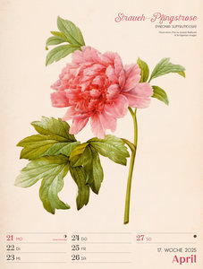 Ars Floralis - Vintage Wochenplander Kalender 2025