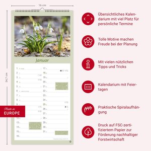 Gartenplaner 2026