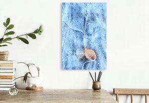 Premium Textil-Leinwand 50 cm x 75 cm hoch Ein Motiv aus dem Kalender Strukturen - Steine, Eis, Pflanzen