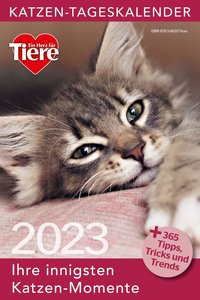 Katzen Tageskalender 2023