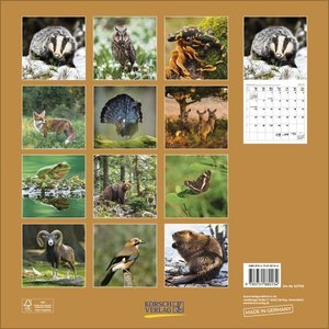 Tiere des Waldes 2025. Broschürenkalender.